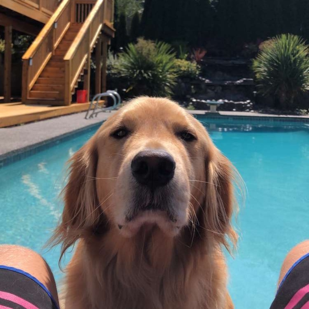 Meet your Posher, Tucker